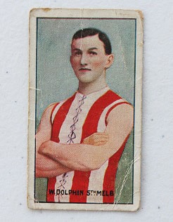 170228_dolphinthumb.jpg